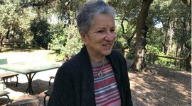 Timeline: Maria Lapa