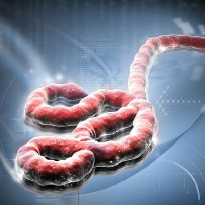 Timeline: Πανδημίες