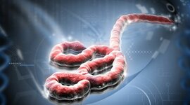 Timeline: Πανδημίες