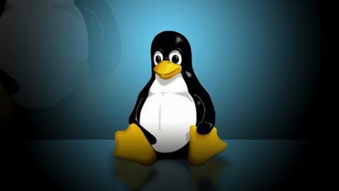 Versión 1.0 y 2.0 ( la mascota oficial de Linux)