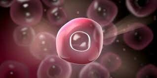 Aparición de las células eucariotas