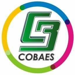 SE CREO EL COLEGIO DE BACHILLERES