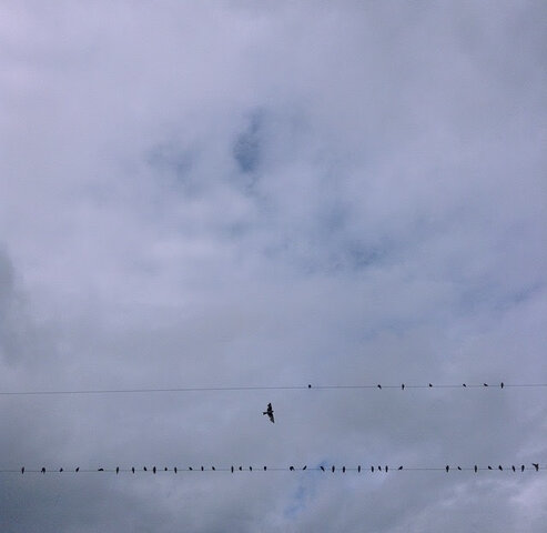 Tough year with my Dad