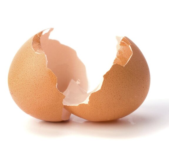 Cascara de huevo