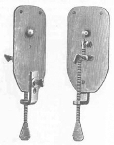 Anton van Leeuwenhoek