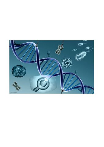 Proyecto genoma humano