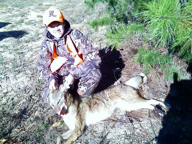 first coyote