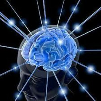 Timeline: ¿De dónde viene y para dónde va el cerebro?