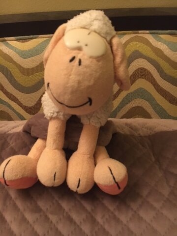 I got my first stuffed animal toy, a sheep