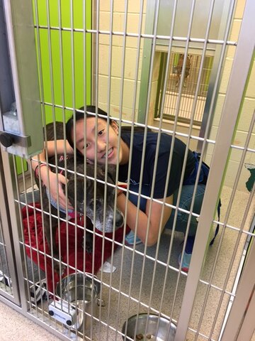 Do some volunteer work at humane center