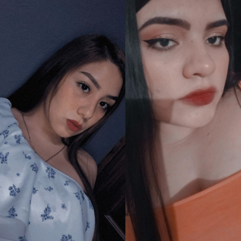 MODELOS DE ANÁLISIS DE LA PRÁCTICA ESCOLAR