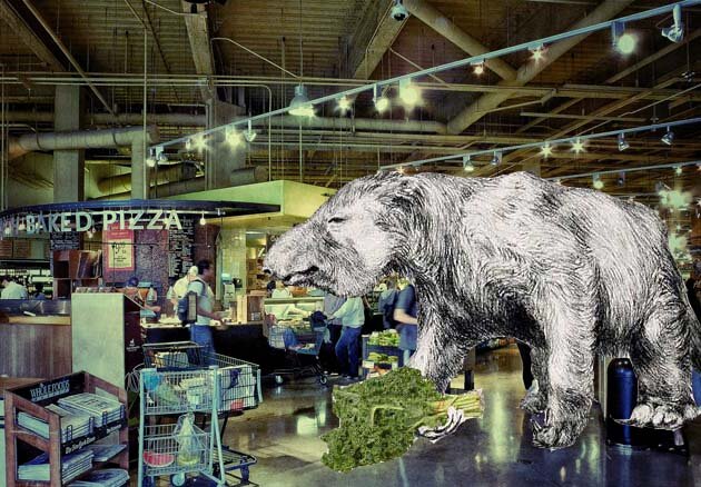 The Giant Ground Sloth