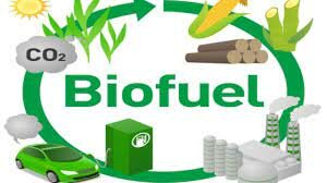 Bio fuel