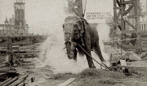 Electrocución de la Elefante Topsy