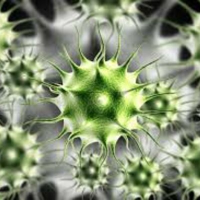 Timeline: Γρίπες