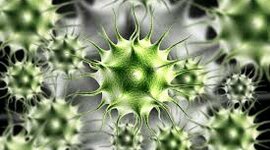 Timeline: Γρίπες