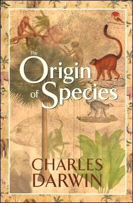 On the Origin of Series