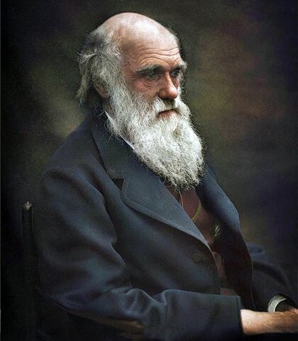 Contribution to the Philosophy of Science