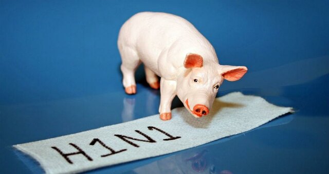 Γρίπη χοίρων