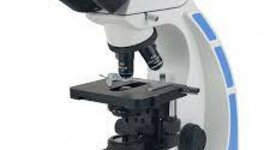 Timeline: eventos importantes de la historia