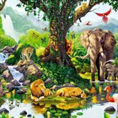 Timeline: Sucesos Importantes de la Biología