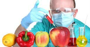 Se reveló un estudio sobre los Organismos genéticamente modificado (OGM)