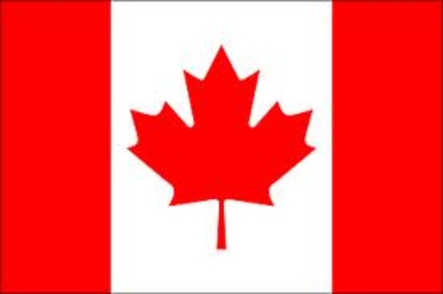 The great flag debate