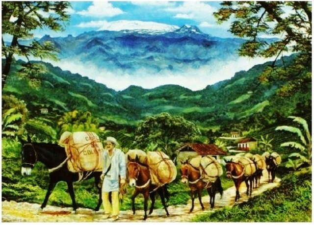 DESPEGUE CAFETERO(economía)