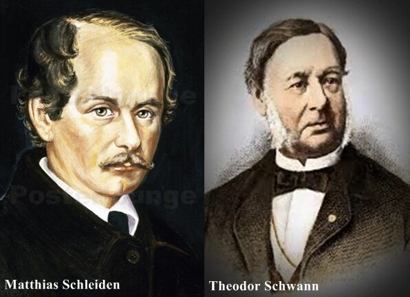 Origen de la Teoría Celular
