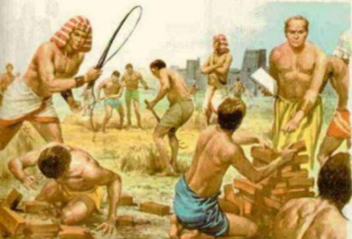 EDAD ANTIGUA DE LA CALIDAD