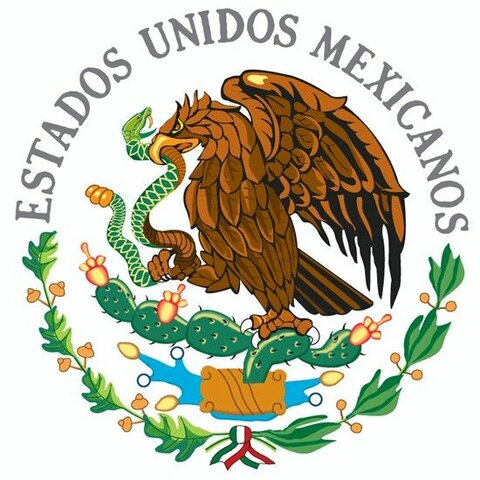Organización del Servicio Médico Legal en México