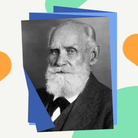 Pávlov amplio sus estudios.