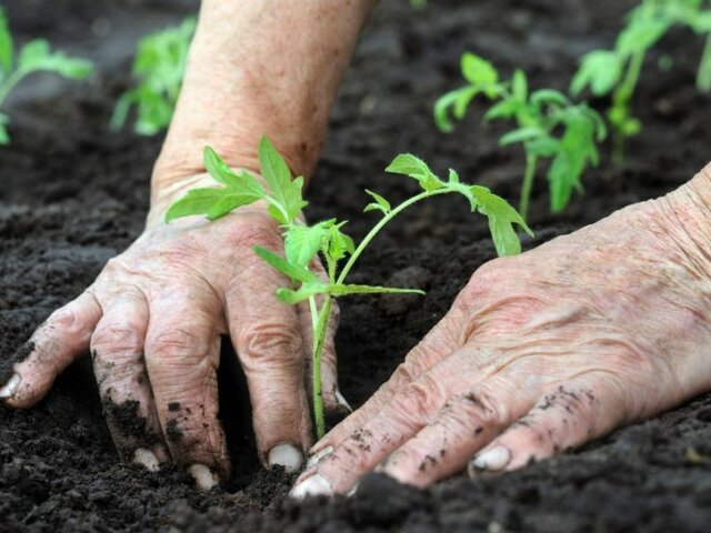 Plan de Emergencia Agrícola