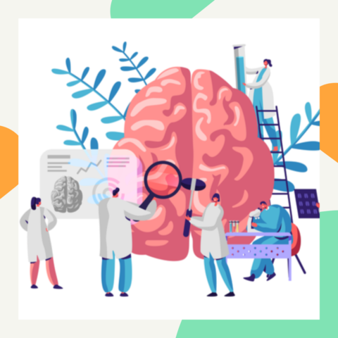 3 misiones de la  psicológia