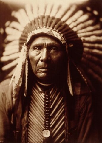 Tres caballos, retrato de cabeza y hombros, mirando hacia el frente, con tocado.