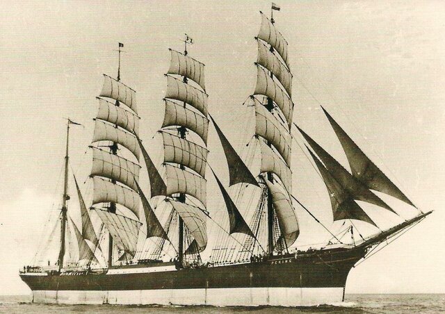 Atraído por la vida marítima