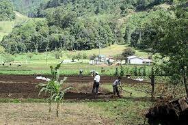 Política educativa y su giro radical