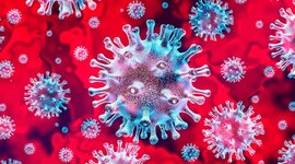 Timeline: origen de los virus