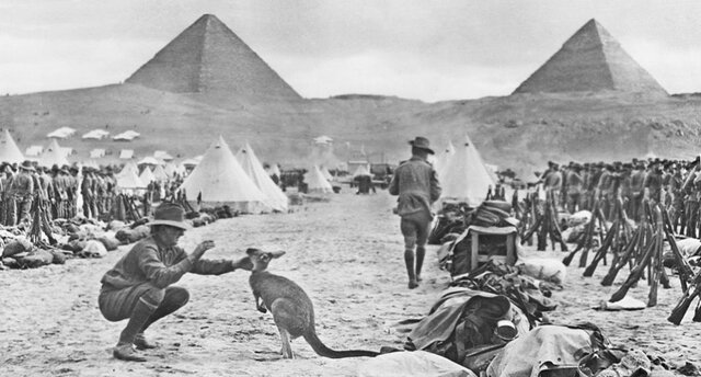 Units of the AIF (Australian Imperial Force) began disembarking at Egypt