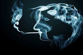 MAYER Y LA EXTRAÑA INFECCIÓN DEL TABACO