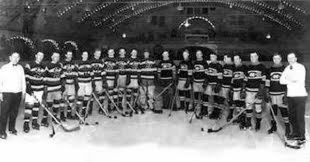 the national Hockey league begins