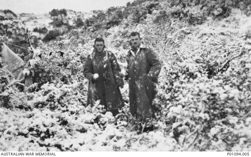 Blizzards hit Gallipoli
