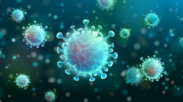 Búsqueda de la historia evolutiva de los virus