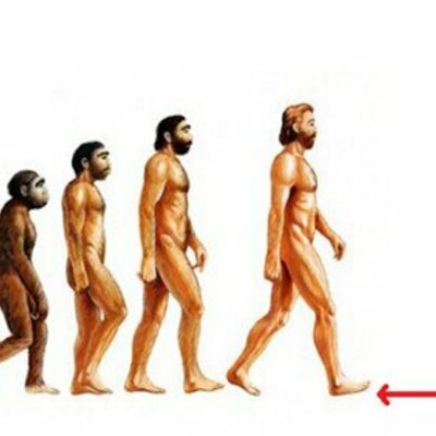 Timeline: Evolución de la administración