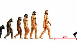 Timeline: Evolución de la administración