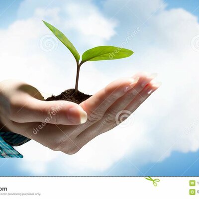 Timeline: Mi vida! Bautista Vallejo