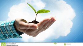 Timeline: Mi vida! Bautista Vallejo