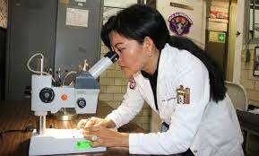 5 especies nuevas de hongos