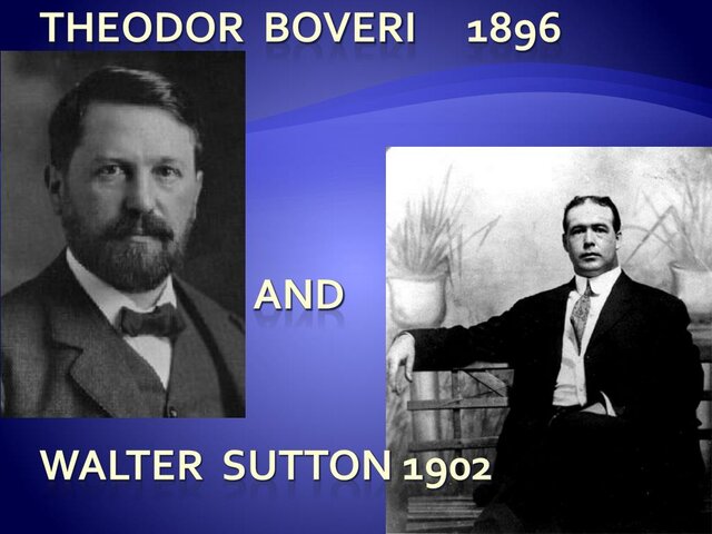SUTTON Y BOVERI
