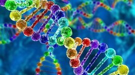 Timeline: ADN Y SU HISTORIA POR JUANA PERALTA SCH.